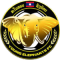 Young Elephants FC team logo 