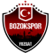 Yozgat Bld Bozokspor team logo 