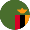 Zambia team logo 