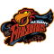 Albany Firebirds team logo 