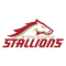 BIRMINGHAM STALLIONS