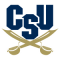 CHARLESTON S BUCCANEERS team logo 