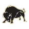 Harding Bisons team logo 