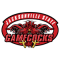 Gamecocks Do Estado De Jacksonville team logo 