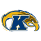 Kent State Golden Flashes team logo 