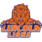 Lincoln Lions team logo 