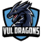 Virginia Lynchburg Dragons team logo 