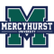 Mercyhurst Lakers team logo 