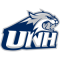 Wildcats De New Hampshire team logo 