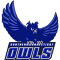 Southern Connecticut Fighting Owls team logo 