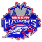 West Texas Desert Hawks