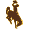 Wyoming Cowboys team logo 