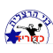 Bnei Herzliya team logo 