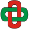 Cb San Jose Obrero team logo 