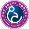 DHC Sokol Poruba team logo 