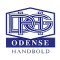 DHG Odense team logo 