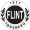 Flint team logo 