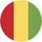 Guinea team logo 