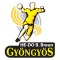 Gyongyosi KK team logo 