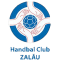 Handball Club Zalau team logo 