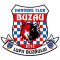 HC Buzau team logo 