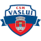 HC Vaslui