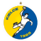 Kielce Vive team logo 