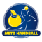 Metz team logo 