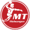 MT Melsungen team logo 