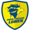 Rhein Neckar Loewen team logo 