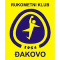 RK Dakovo team logo 