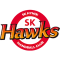 SK HAWKS team logo 