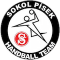 Sokol Pisek team logo 