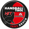 Medalp Handball Tirol team logo 