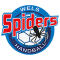 Spiders Wels team logo 