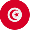 Tunisia team logo 