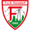 TuS Ferndorf team logo 