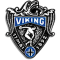 Viking TIF team logo 