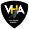 Villeurbanne HB team logo 
