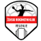 ZRK Velenje team logo 