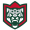 AK Bars Kazan team logo 