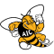 AMERICAN INTERNATIONAL YELLOW JACKETS team logo 