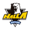 Anyang Halla team logo 