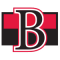 Belleville Senators team logo 