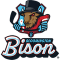 Bloomington Bison team logo 