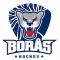 Boraas HC team logo 