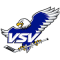 EC Villacher SV team logo 