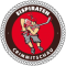 Eispiraten Crimmitschau team logo 