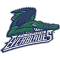 FLORIDA EVERBLADES team logo 