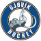 Gjovik Mammuts team logo 